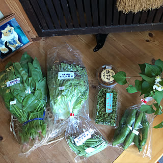 クマ幸の前足/手作り麹みそ/深草名物/朝採り山椒の実/上賀茂の採れたてお野菜お豆...などのインテリア実例 - 2019-05-24 10:37:27