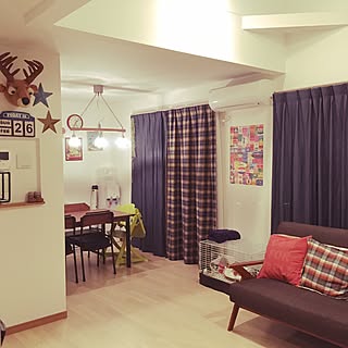 部屋全体/モルモット/モルモットのいる暮らし❤︎/すくすくチェア/Francfranc...などのインテリア実例 - 2017-02-26 01:43:04