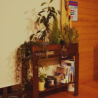 Diy フラワースタンドのインテリア 手作りの実例 Roomclip ルームクリップ