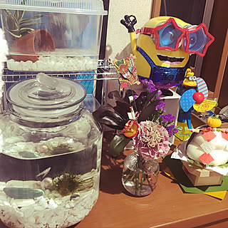 ニトリ カブトムシの幼虫のまとめページ Roomclip ルームクリップ