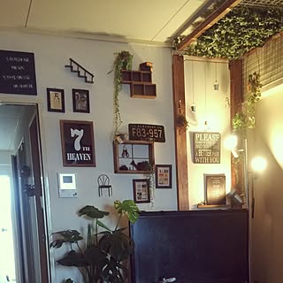 観葉植物 つるす のインテリア実例 Roomclip ルームクリップ 観葉植物 つるす のインテリア実例 Roomclip ルームクリップ