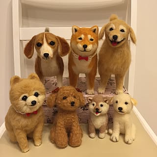 犬 羊毛フェルトのおしゃれなアレンジ 飾り方のインテリア実例 Roomclip ルームクリップ
