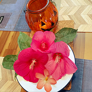 アジアンハイビスカスのインテリア実例 Roomclip ルームクリップ