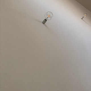 壁 天井 モーガルソケットのインテリア実例 Roomclip ルームクリップ