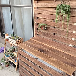 玄関 入り口 グリーンネックレスのインテリア実例 Roomclip ルームクリップ