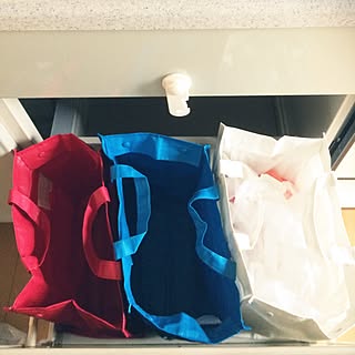 キッチン/ルートート/分別/資源ゴミ/シンク下...などのインテリア実例 - 2016-10-21 15:05:53