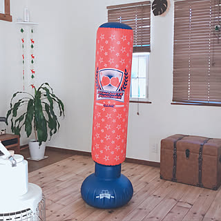 サンドバッグのインテリア実例 Roomclip ルームクリップ