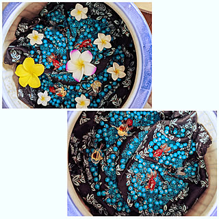 金魚 火鉢のインテリア実例 Roomclip ルームクリップ