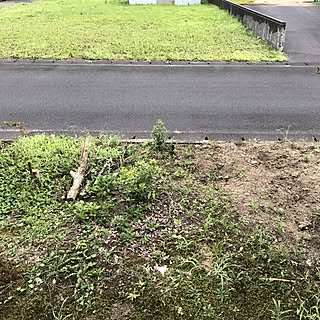 玄関/入り口/縁側/どーにかしたい!!/庭/山善ボーダーフェンスモニター応募/中古物件...などのインテリア実例 - 2017-07-18 06:59:01