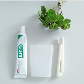 壁/天井/新商品買ったよ!/無印良品/携帯用歯みがきセット/歯磨きセット...などのインテリア実例 - 2020-01-26 18:30:37