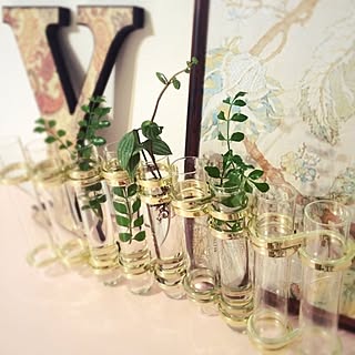 ツェツェ風のインテリア実例 Roomclip ルームクリップ