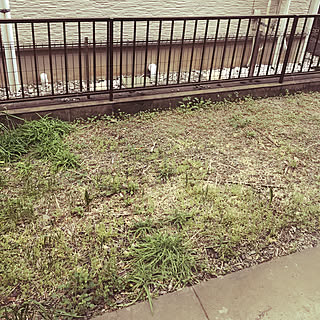 玄関/入り口/お気に入りの場所にしたい!/専用庭/玄関じゃないけど/二人暮らし...などのインテリア実例 - 2018-03-16 06:42:02