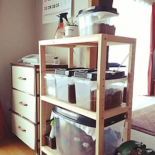 棚 虫かご置き場のインテリア実例 Roomclip ルームクリップ