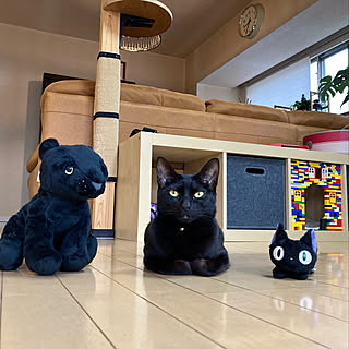 おもしろいのインテリア実例 Roomclip ルームクリップ