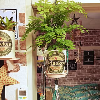 玄関/入り口/アジアンタム/観葉植物大好き❤︎/植物♡/いつもイイネ★ありがとぅございますっ★...などのインテリア実例 - 2016-04-12 18:15:28