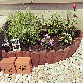 夏花壇のインテリア実例 Roomclip ルームクリップ