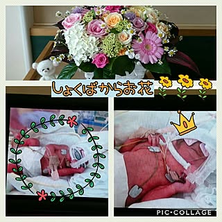 ベッド周り/子どもと暮らす/青森/前期破水/娘5歳と0歳...などのインテリア実例 - 2017-06-13 04:51:48