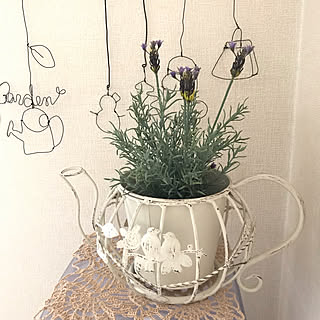 ホムセンで見つけたよ~/鳥さん付き♡ティーポット型鉢カバー♪/6月20日/新商品/グラスジェムコーン部...などのインテリア実例 - 2019-06-20 09:21:36