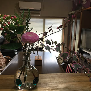 ピンクのお花/ナチュラル/あたたかい暮らし/生け替え/棚のインテリア実例 - 2020-01-24 14:14:49