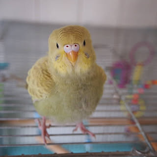 バス/トイレ/カメラマーク消し/いいね!ありがとうございます♪/フォロワー様に感謝です !/自己満足( ̄^ ̄)ゞ...などのインテリア実例 - 2018-08-16 20:14:02