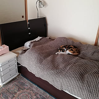 ベッド周り/ナチュラル/ねこのいる日常/ニトリ/照明...などのインテリア実例 - 2020-02-24 15:32:07