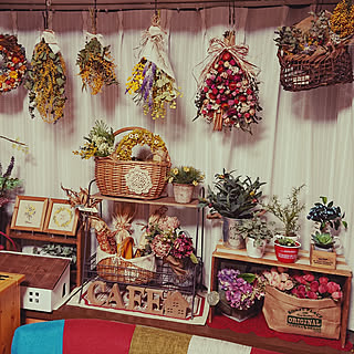 部屋全体/春の花/〇〇のある暮らし/ほっこりした雑貨が好き♡/ディスプレイ...などのインテリア実例 - 2020-02-24 21:08:32