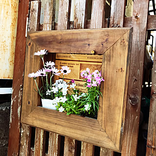 額縁プランターのインテリア実例 Roomclip ルームクリップ