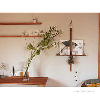 ニトリネット 花瓶 フラワーベースのおすすめ家具 インテリア 全18件 Roomclip ルームクリップ