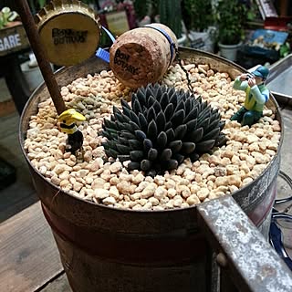 机/BONBOTANY/白黒/アンティーク/ガーデン雑貨...などのインテリア実例 - 2014-12-08 22:41:33