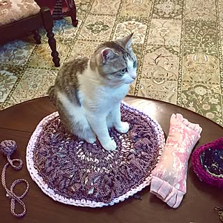 机/テーブルの上に/手編み/hookedzpagetti/猫...などのインテリア実例 - 2017-03-20 23:25:35