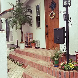 フェニックス ヤシの木のインテリア実例 Roomclip ルームクリップ