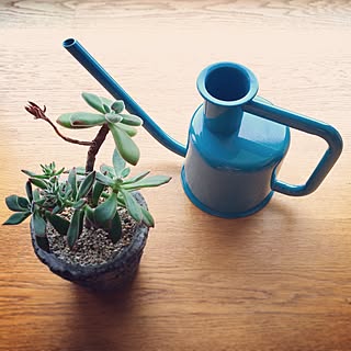 ベッド周り/CONRANSHOP/北欧/植物/NO GREEN NO LIFE...などのインテリア実例 - 2015-06-28 15:09:25