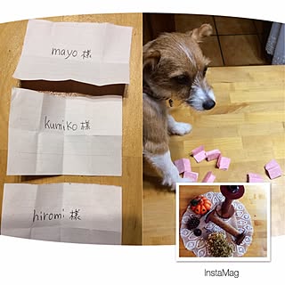 机/幸せお裾分けプレゼント♡/「ハッピー ハロウィン企画」/何時も有難う御座います♡/なかなか訪問+コメ出来ず...などのインテリア実例 - 2014-10-15 20:42:06