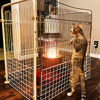 トヨトミレインボー ストーブガードdiyのインテリア 手作りの実例 Roomclip ルームクリップ