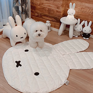 ミッフィー マットのインテリア実例 Roomclip ルームクリップ