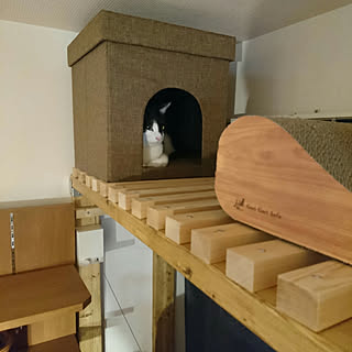 自作キャットウォークのインテリア実例 Roomclip ルームクリップ 自作キャットウォークのインテリア実例 Roomclip ルームクリップ