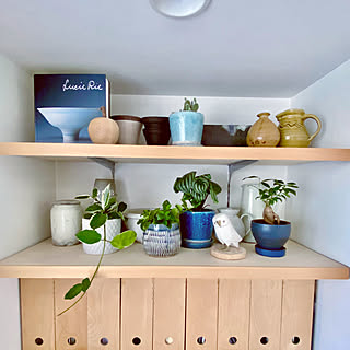 観葉植物 水差しのインテリア実例 Roomclip ルームクリップ 観葉植物 水差しのインテリア実例 Roomclip ルームクリップ