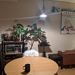 ビカクシダ 板付きコウモリランのインテリア実例 Roomclip ルームクリップ
