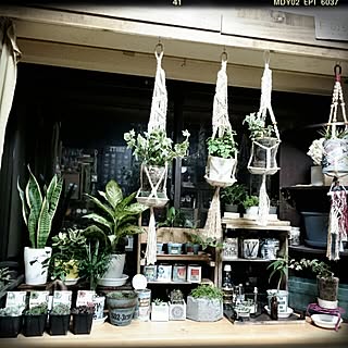 棚/NO GREEN NO LIFE/グリーン依存症♥/ハンドメイド/ライクミックス...などのインテリア実例 - 2016-07-08 22:53:48