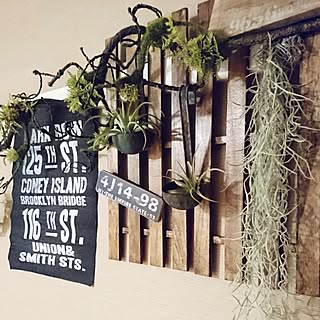 Diy キャンディタワーのインテリア 手作りの実例 Roomclip ルームクリップ