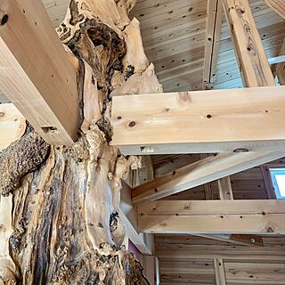 木の家/壁/天井のインテリア実例 - 2020-04-23 11:04:48