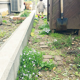 レンガの小道 狭い庭のインテリア実例 Roomclip ルームクリップ