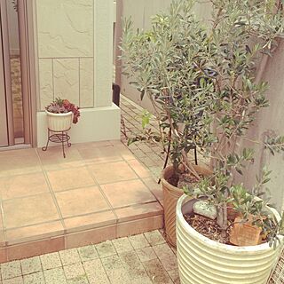 植物 玄関外のおしゃれなインテリアコーディネート レイアウトの実例 Roomclip ルームクリップ