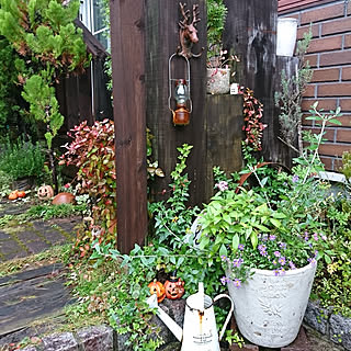 部屋全体/長梅雨・猛暑/ガーデン/狭小ガーデン/庭...などのインテリア実例 - 2019-10-08 23:56:35