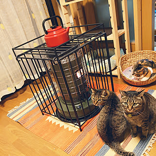 里山エンジンストーブガードのインテリア実例 Roomclip ルームクリップ