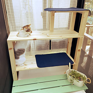 ダイソーマットのインテリア実例 Roomclip ルームクリップ