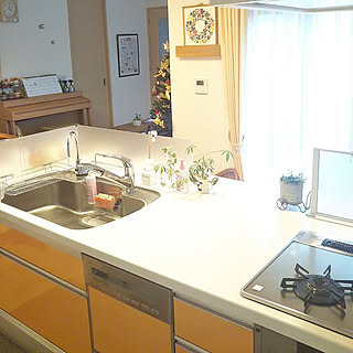 キッチン/クリナップ/クリンレディ/オレンジ/オレンジ色...などのインテリア実例 - 2019-12-02 16:32:00