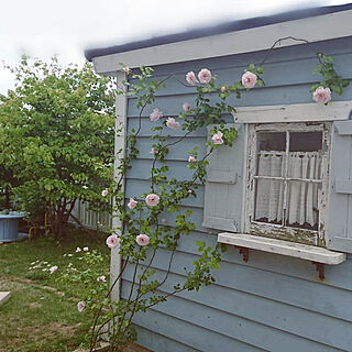 部屋全体/薔薇が好き/バラのアレンジ/バラ/garden...などのインテリア実例 - 2019-05-29 07:15:57