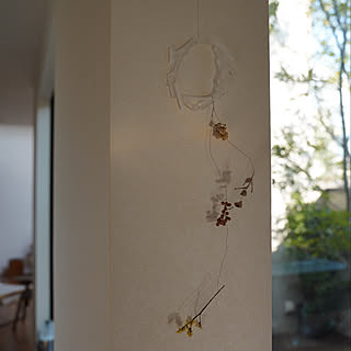 注文住宅/シンプル/暮らし/インスタ tongarihouse/NO GREEN NO LIFE...などのインテリア実例 - 2020-01-24 06:17:39