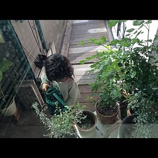 ベランダ/子供のいる暮らし/マンションインテリア/部屋全体/グリーンの空間のインテリア実例 - 2015-11-17 23:42:05